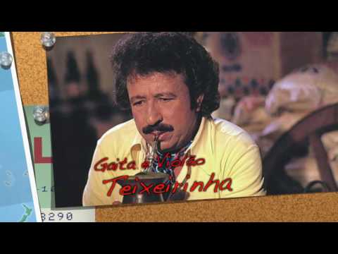 GAITA E VIOLÃO (Paquito & Joia)