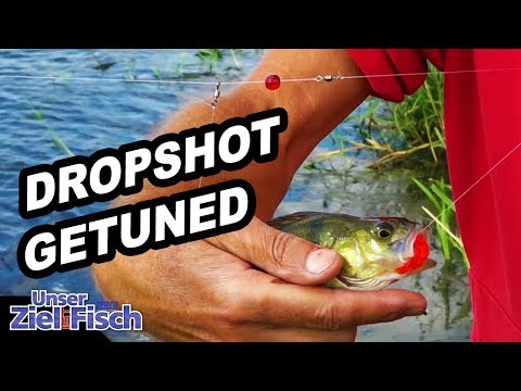 This MONTAGE is INSANE - DROPSHOT on PERCH with JÖRG OVENS - Our goal is fish - Episode 23