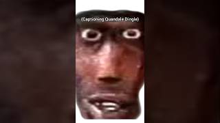 my brain had a stroke captioning this 😭 #caption #quandaledingle #meme