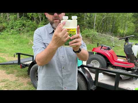 Compare-N-Save Concentrate Indoor and Outdoor Insect Control