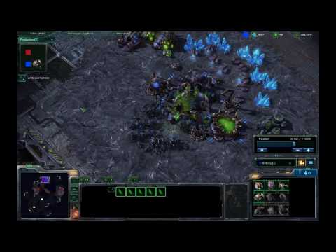 Starcraft 2 ZvP vs Proxy 3 Gate