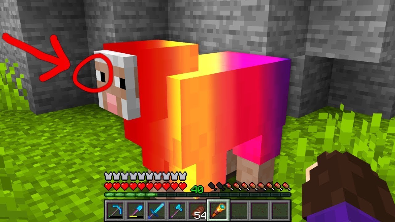 ATRAPÉ A TODOS LOS MOBS MÁS RAROS EN MINECRAFT