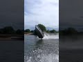 Grau De Barco