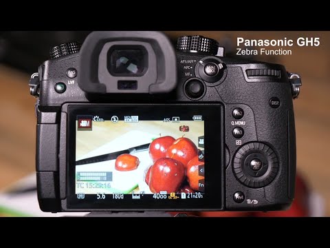 Lumix Academy GH5 | Zebra Function
