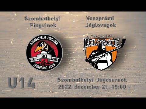 U14 242 Szombathelyi Pingvinek - Veszprémi Jéglovagok (élő közvetítés)