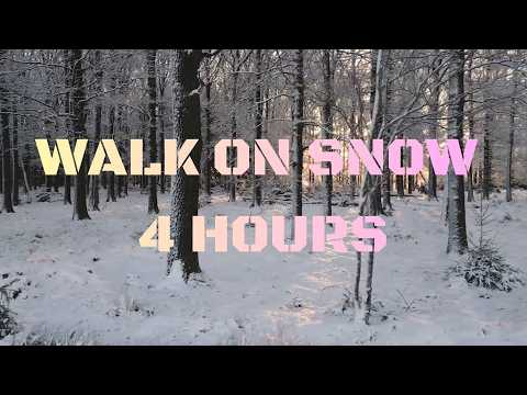 WALK ON SNOW for 4 Hours — Deep Winter Forest Ambience