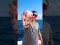 Deep Sea Fishing With A PORK Chop 100 Feet Deep Shorts Fishing