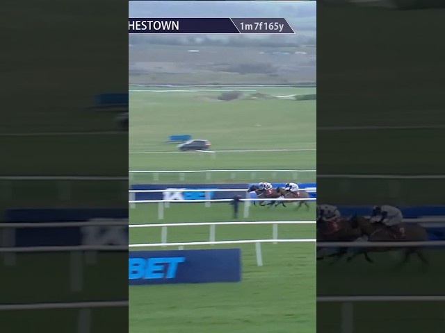 Thumbnail for Post ID: IMet0SPEezo