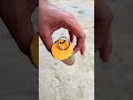 Explosion As Soon As The Pin Is Pulled Patakha Diwali Patakhe Crackers Shorts