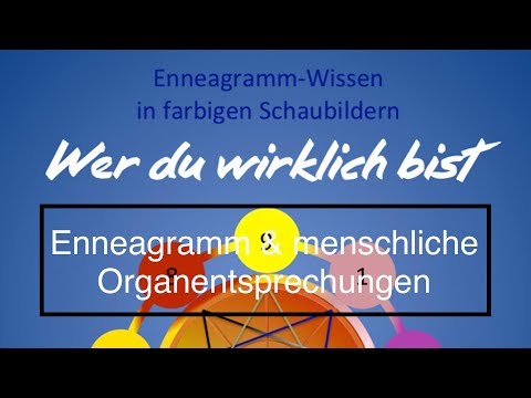 Enneagramm in 3 Minuten - Die menschlichen Organentsprechungen!