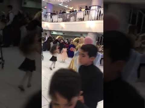 ELMAS ÖZCAN VE  OZLEM OZCAN ERIK DALI