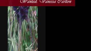 Wanted by Vanessa Carlton w/ lyrics
