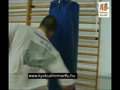 Balogh Zsolt training and fighting at World Championship '07