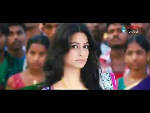 no money nohaney mr.nookayya