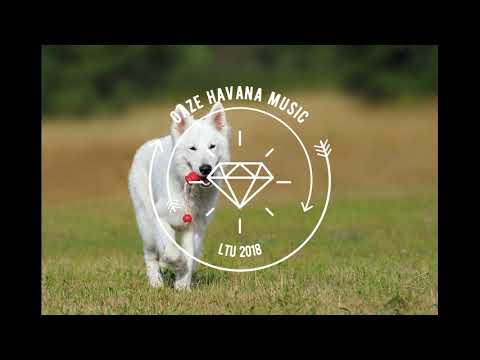 Sugar Jesus feat. Leda - Crying Wolf