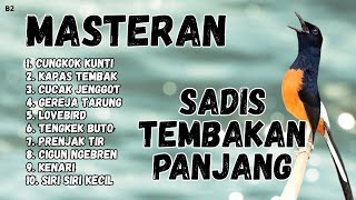 Download lagu 🔴 GACOR SADIS MENTAL KUAT MASTERAN MURAI BATU GACOR mp3