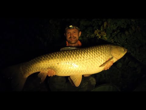 Karpfenangeln im Herbst bei Sturm