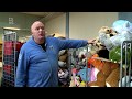 Nog 20 duizend knuffels over na knuffelregen in Kuip
