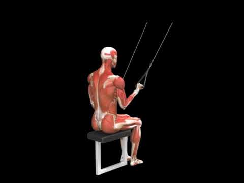 Cable Alternating Seated Pushdown