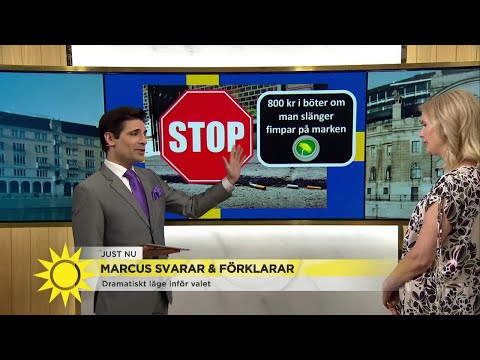 Nu kan du få böta om du slänger fimpar på marken!  - Nyhetsmorgon (TV4)