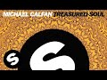Michael Calfan - Treasured Soul (Original Mix ...