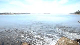 preview picture of video 'Puget Sound Nearshore Springs (Sequalitchew)-1'