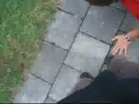 the lazee asskickers part 2