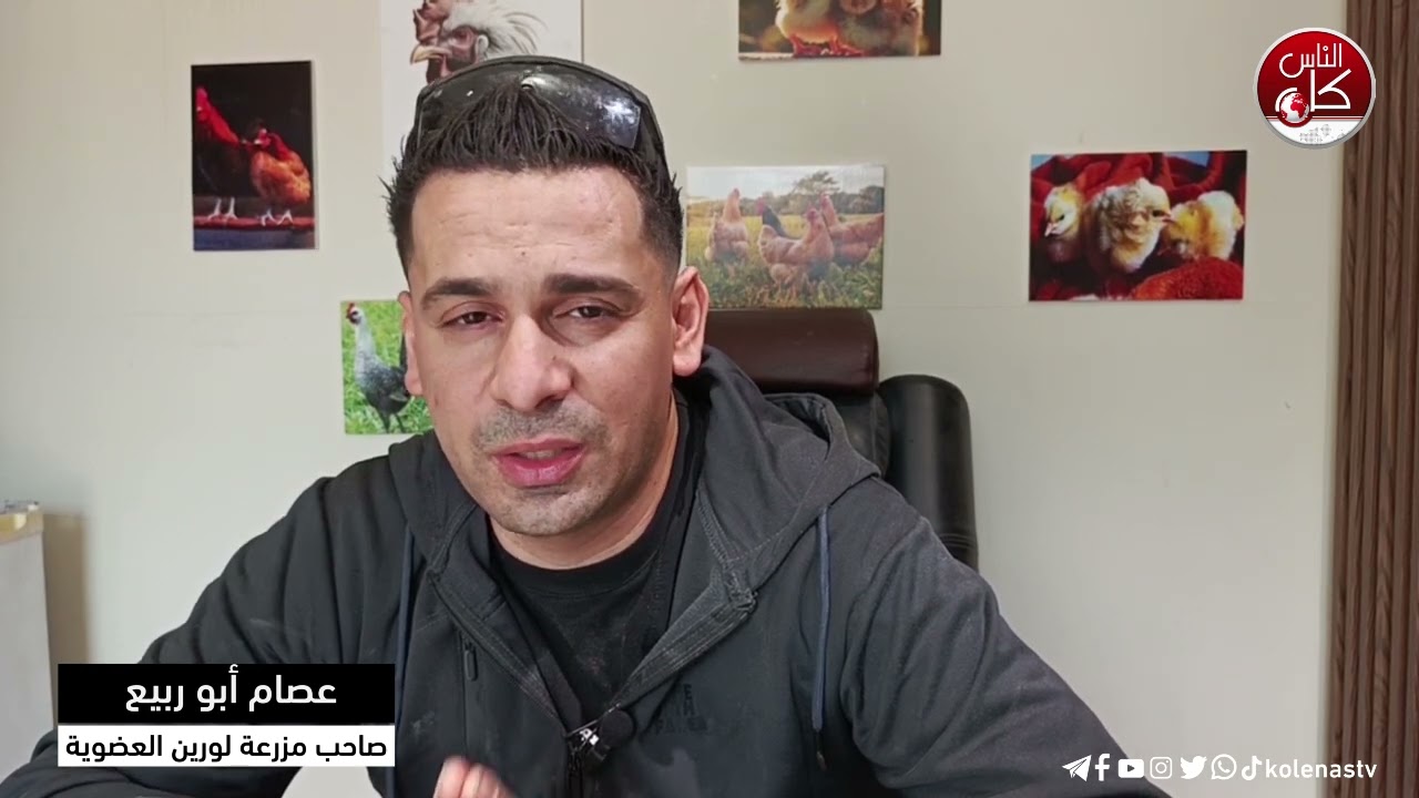 مزرعة دجاج عضوية من الألف إلى الياء