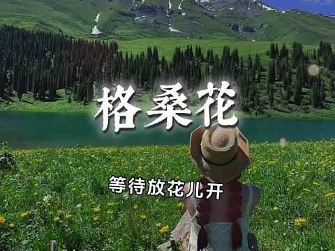 陳鴨梨Charlie《格桑花 (等格桑花开) 》【我环顾人海却发现你已不在我却还在原地等待等格桑花儿开你是否就回来】