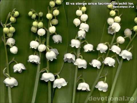 Grupul Sirion - Cu Tine Doamne Isuse