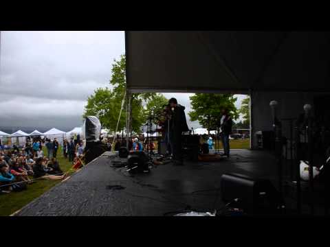 Andrew Bird & the Hands of Glory,  Noura Mint Seymali,  Brasstronaut