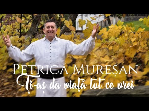 Petrică Mureșan – Ți-aș da viață tot ce vrei | Cântec Popular Românesc (Videoclip Oficial)