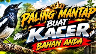 Download lagu Kacer gacor konslet cari lawan tarung  mp3