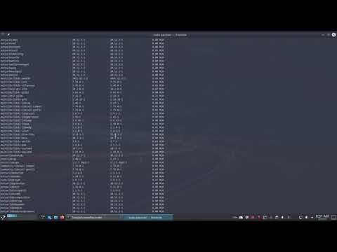 ArcoLinux : 1866 Kept rolling for two years and four months - Plasma Challenge SSD ends here