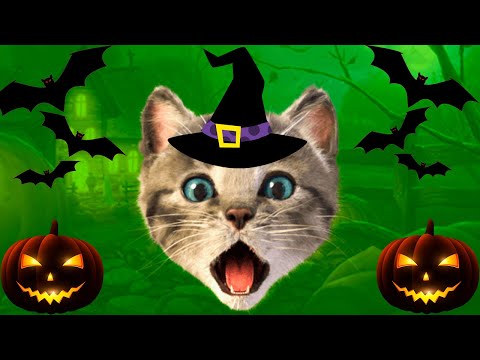 Little Kitten & Friends - Learn with the cutest cat! - SPOOKY HALLOWEEN 🎃