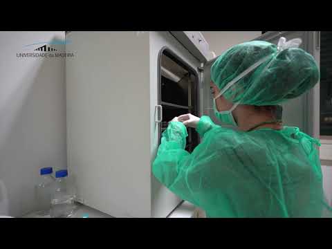 2.º Ciclo - Nanoquímica e Nanomateriais (EN)