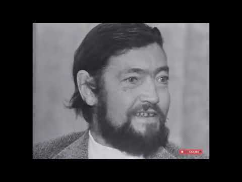 JULIO CORTÁZAR HABLA DE RAYUELA