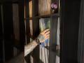 How I store my vinyl records #vinylcommunity