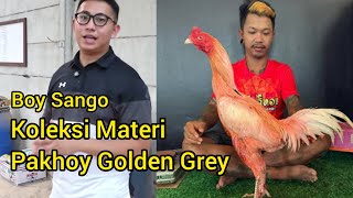 Download lagu Boy Sango Farm - Golden Grey Pakhoy Collection - Price Reveal mp3 Download lagu Boy Sango Farm - Golden Grey Pakhoy Collection - Price Reveal mp3