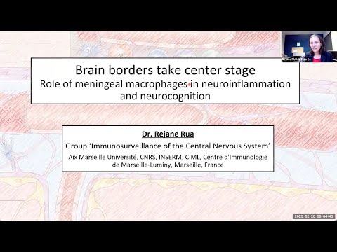 "Role of meningeal macrophages in neuroinflammation and neurocognition" by Dr. Rejane Rua