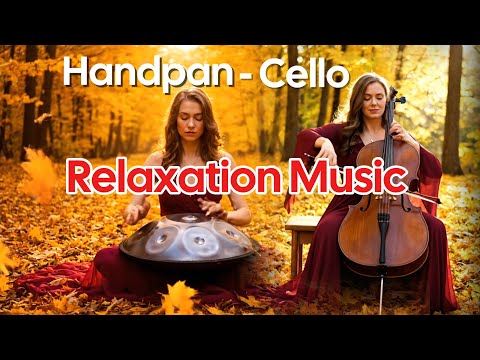 Handpan in the Golden Ginkgo Grove – 1-Hour Music for Reflection & Peace