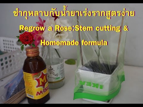 สมาชิกที่เล็กที่สุดของ 16 ปีสิ่งที่ต้องทำ ตื่นเต้นภาพผู้หญิงเปียก