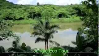 preview picture of video 'Jungle Tour - Punta Cana Excursions'