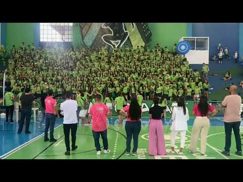 TORCIDA GINKASEB VERDE 2022