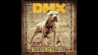 dmx we bout to blow