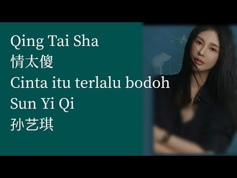 Qing Tai Sha 情太傻 ~ Sun Yi Qi 孙艺琪