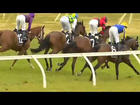 Ellerslie Race 5 - Rangipo Win