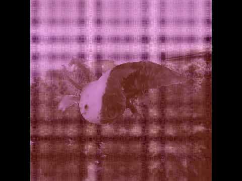 Neapolitan - Jagger Finn (Takebacks)