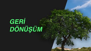 Geri Dönüşüm Neden Önemlidir? | Sürdürülebilirlik ve Geri Dönüşüm