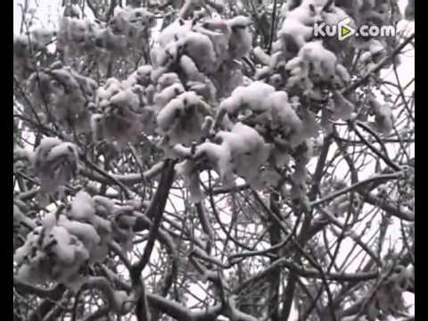 石家莊遭遇極端天氣大雪侵襲四月天(視頻)